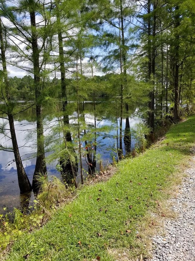 274 Wildwood Rd unit na, West Green, GA 31567 - photo 3