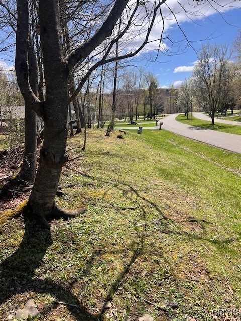 3284 Walden Oaks Blvd, Munsons Corners, NY 13045 - photo 5