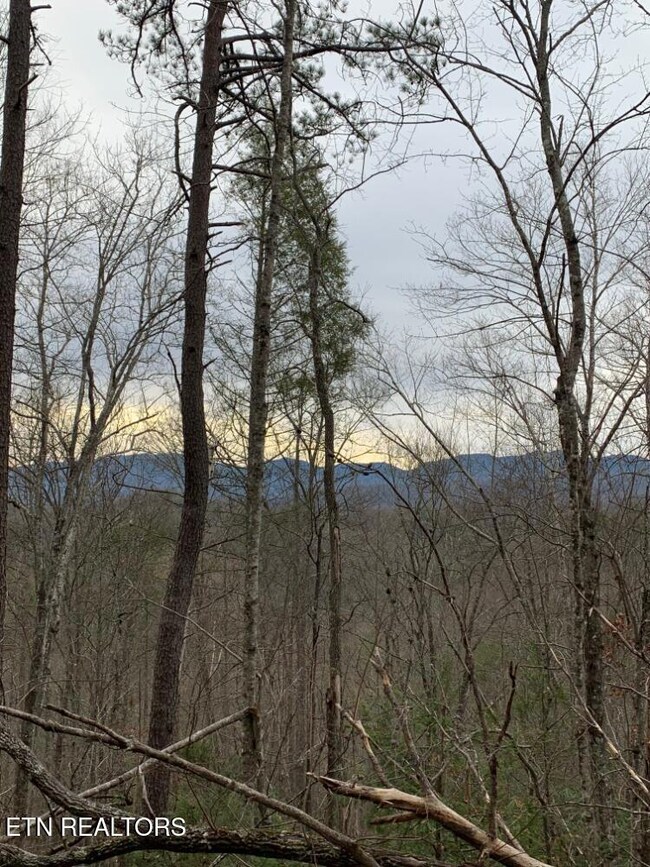 Par 202.03 Autumn Ln, Gatlinburg, TN 37738 - photo 4
