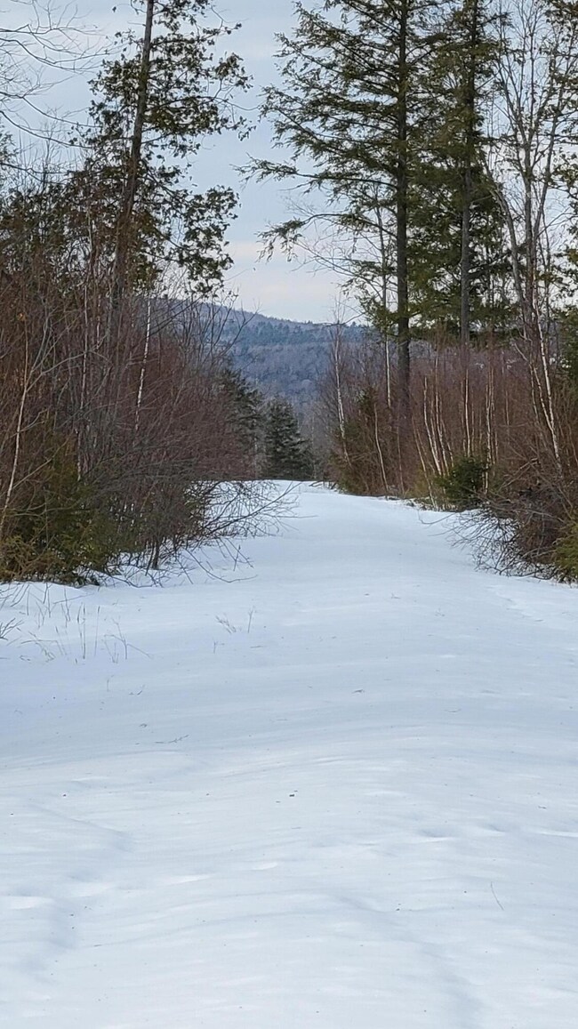 Map 12 Lot 24 (3)