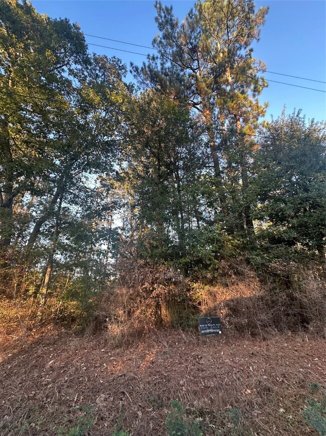 TBD Royal Shores Dr, Conroe, TX 77303 - photo 6