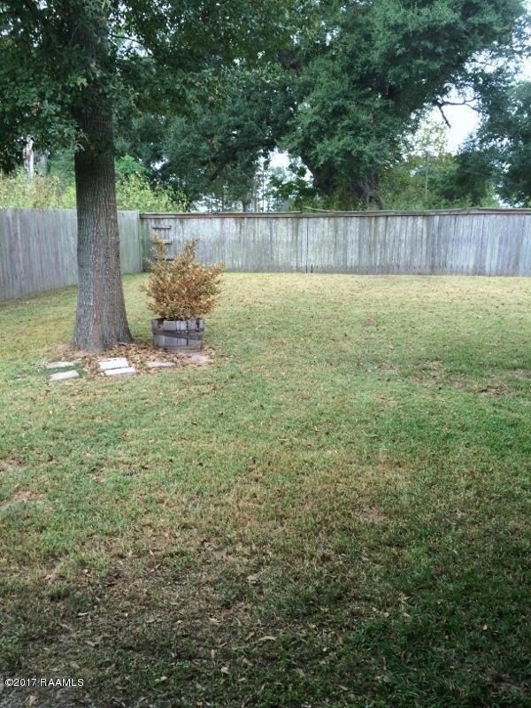 12 Silver Cedar back yard