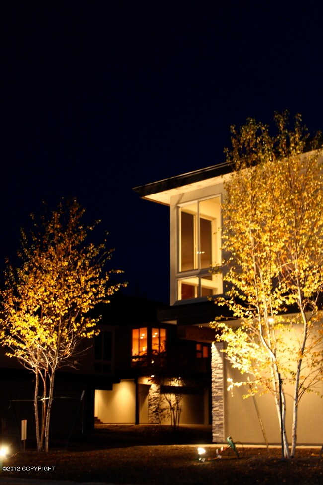 night view