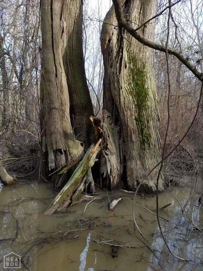 8250 U S 412, Paragould, AR 72450 - photo 2