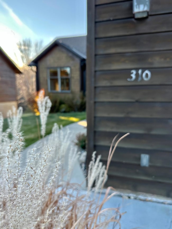 310 Tianna Dr, Walker, MN 56484 - photo 4