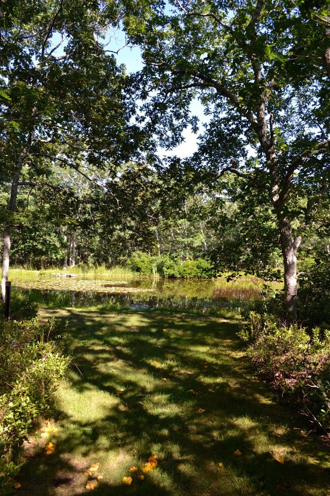 190 Waldrons Bottom Rd, West Tisbury, MA 02568 - photo 6