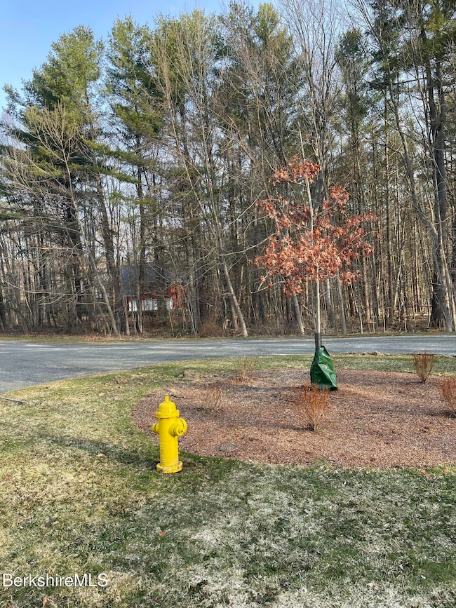 cul de sac fresh planting