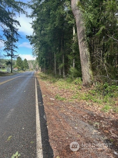 0 Harmon Rd unit NWM2211135, Adna, WA 98522 - photo 2