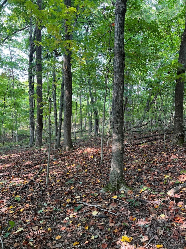 0 Mcguire Rd unit 1855109, Chillicothe, OH 45601 - photo 2