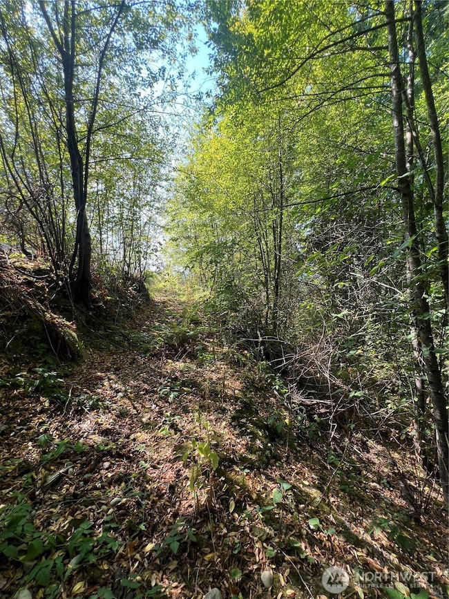 106 Xx MacArthur Ln, Mukilteo, WA 98275 - photo 4