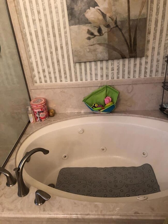 Jacuzzi Tub in Master Bath