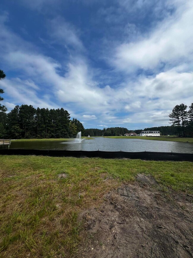 1102 Plantation Overlook Dr, Moncks Corner, SC 29461 - photo 5