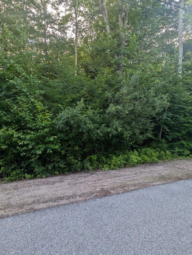 Lot 11-1 Drew Dr, Middleton, NH 03887 - photo 2
