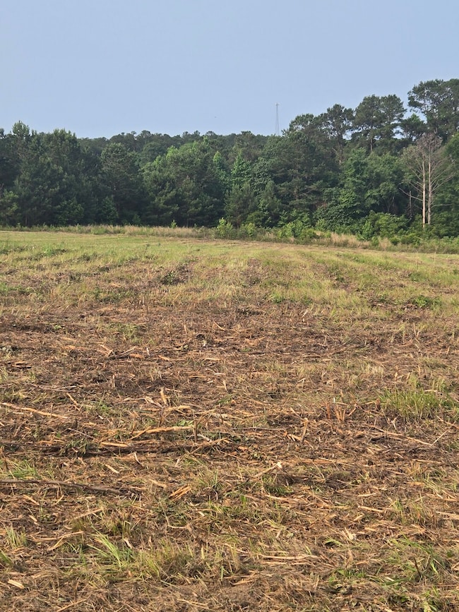 20250531_091731_resized