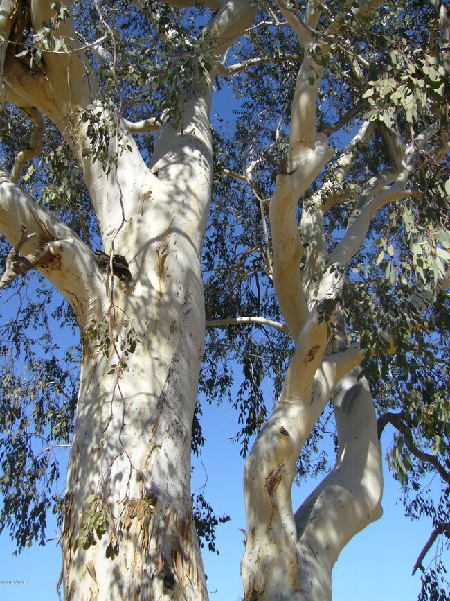 4549 E 20th St, Tucson, AZ 85711 - photo 6