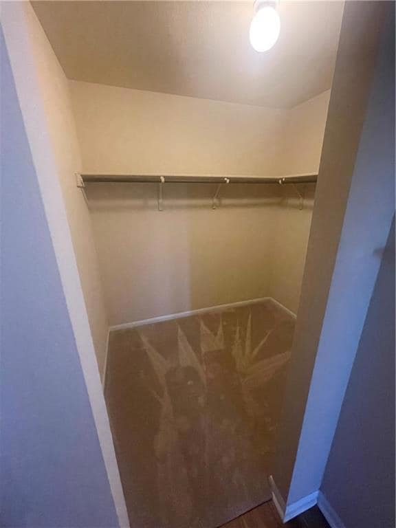 Walk in closet with dark carpet