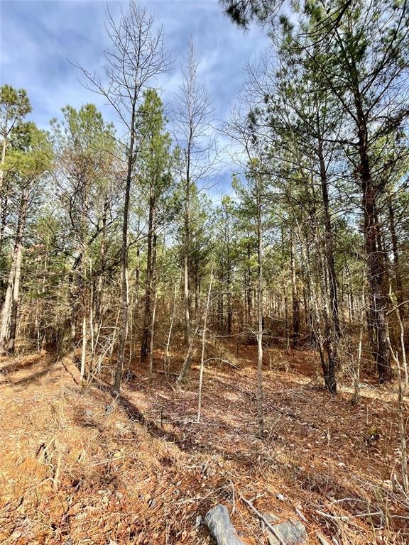 744 Timber Creek Trails South XI, Broken Bow, OK 74728 - photo 2