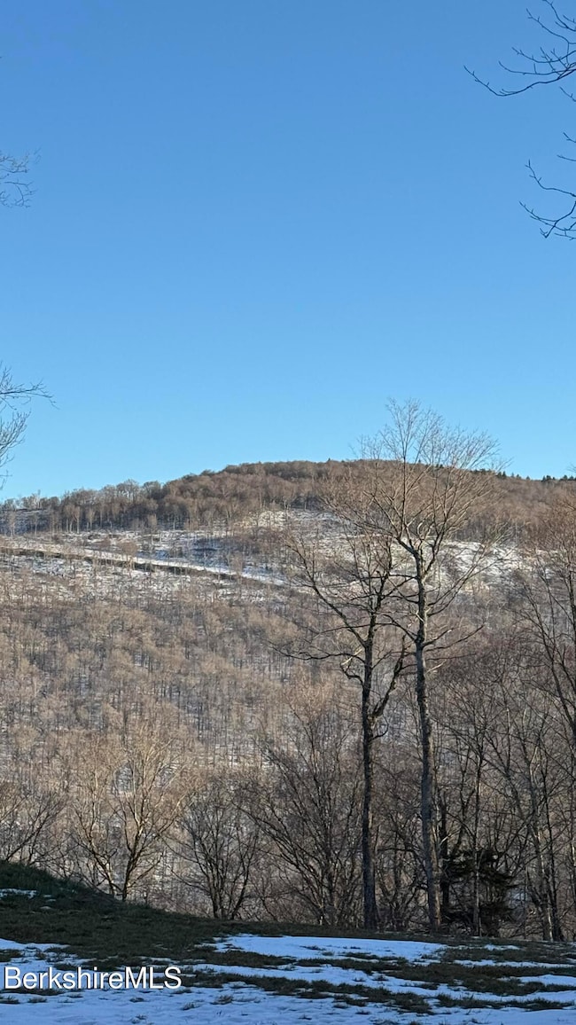 lot139&140 Bergrucken Ln, Readsboro, VT 05350 - photo 7