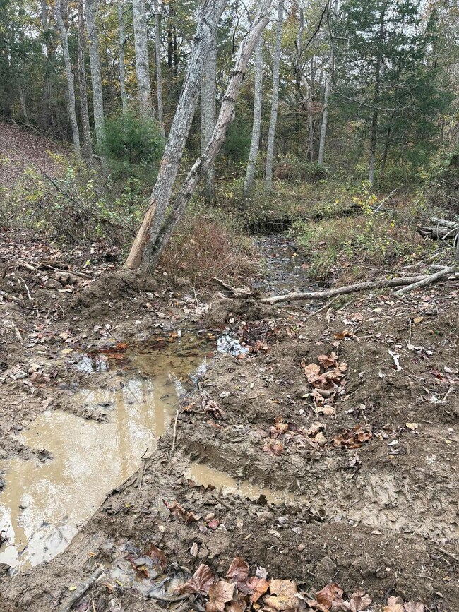 Pine Grove Ch Rd, Vanceburg, KY 41179 - photo 6