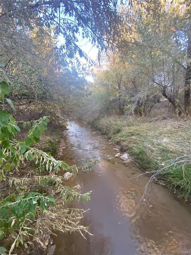 14 Ghost River Ranch, Walsenburg, CO 80189 - photo 7