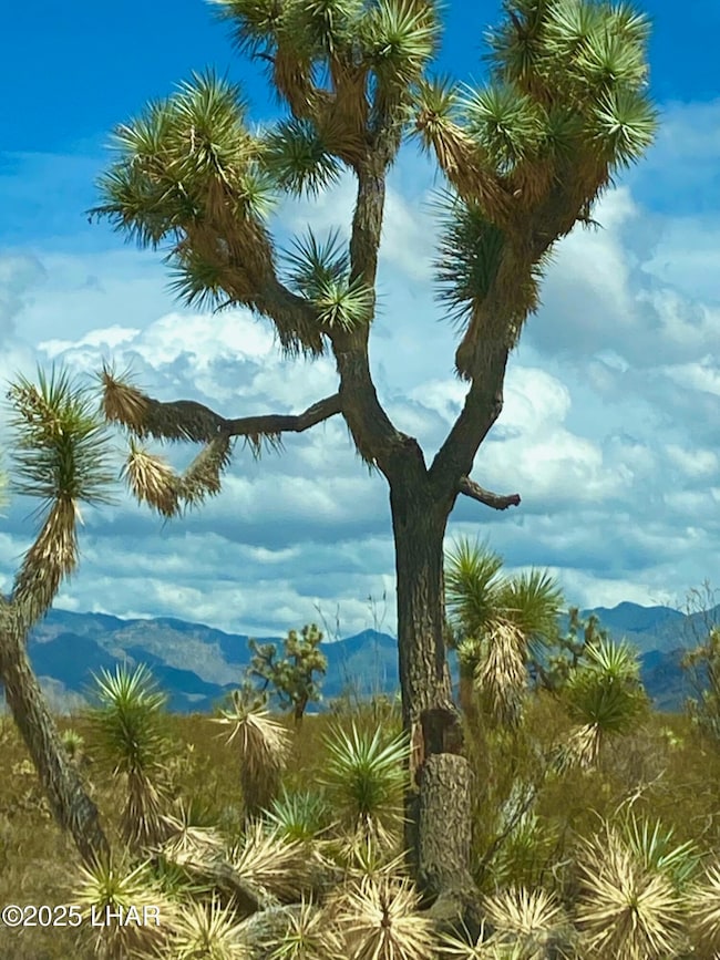 120 ACRES S Dale Evans Rd, Yucca, AZ 86438 - photo 6