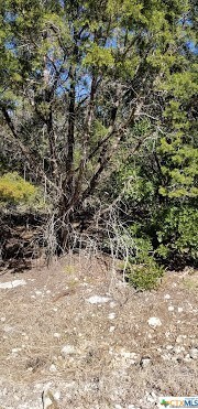 16004 Salado Dr, Temple, TX 76502 - photo 7