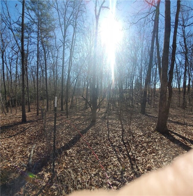 Lot A Lecroy Rd, Walhalla, SC 29691 - photo 3