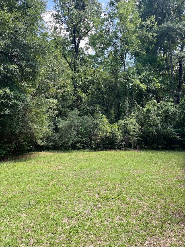 255 Beechwood Dr, Crawfordville, FL 32327 - photo 3