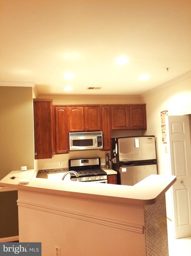 15620 Everglade Ln unit 202, Bowie, MD 20716 - photo 7