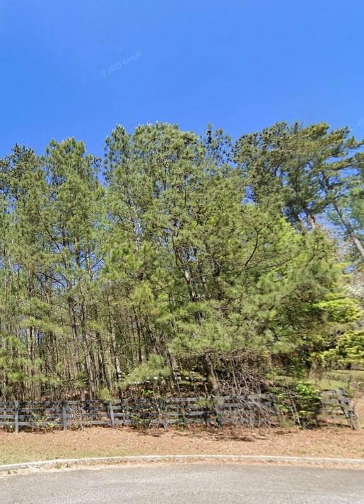 124 Aaronwood Ct, Alpharetta, GA 30004 - photo 2