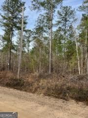 0 Busby Rd unit 10479601, Statesboro, GA 30458 - photo 5