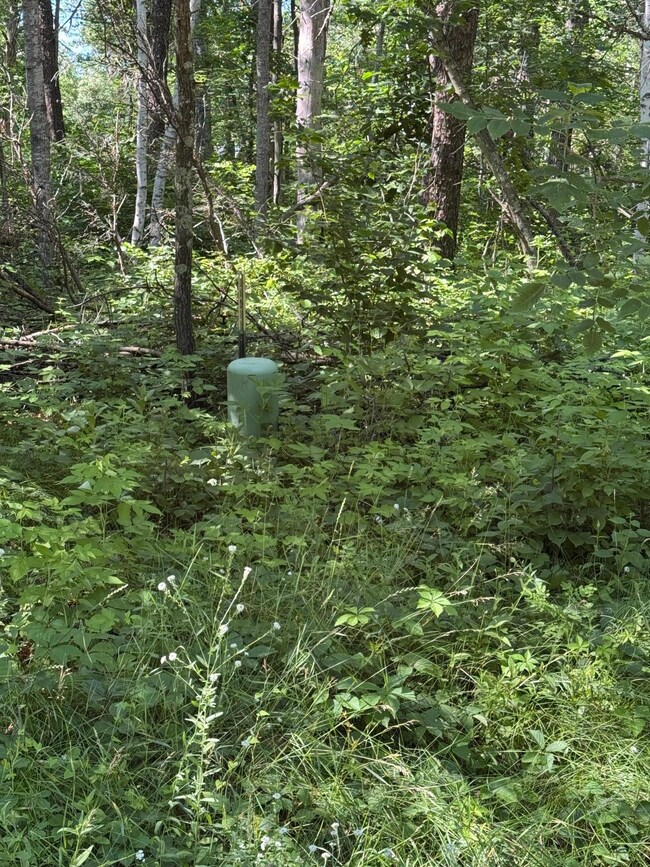 tbd Cedar St, Breezy Point, MN 56472 - photo 7