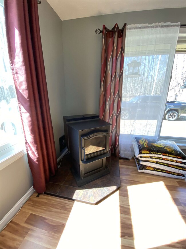 Main home pellet stove