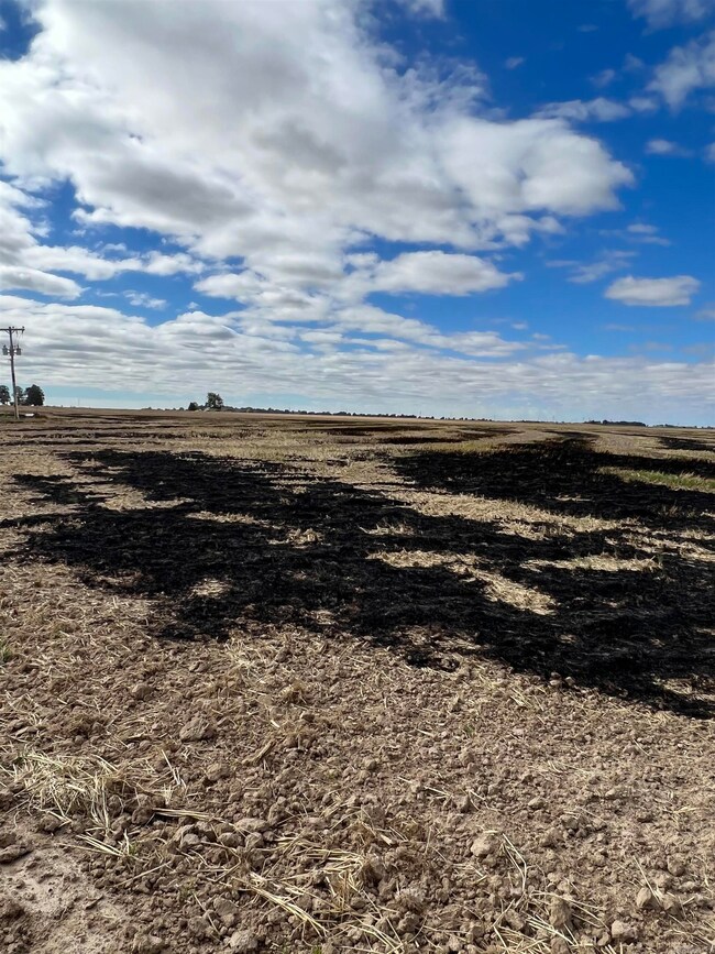 849 Cr 206, Peach Orchard, AR 72453 - photo 6