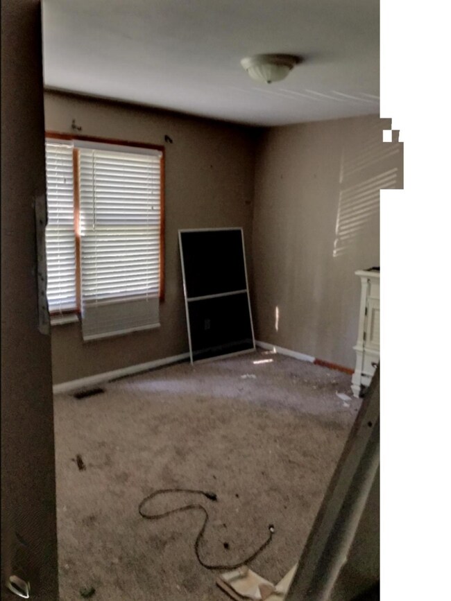 Image-3 (11)