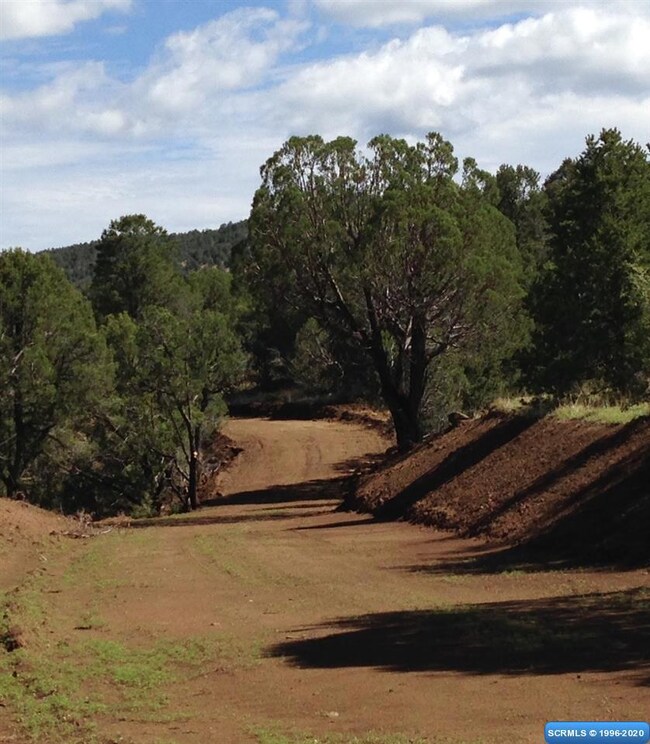 61 Euphoria Rd, Silver City, NM 88061 - photo 2