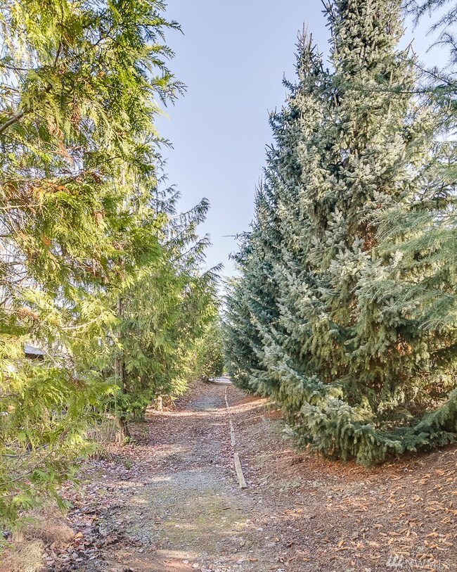 7323 Centerville Ct unit 801, Stanwood, WA 98292 - photo 5