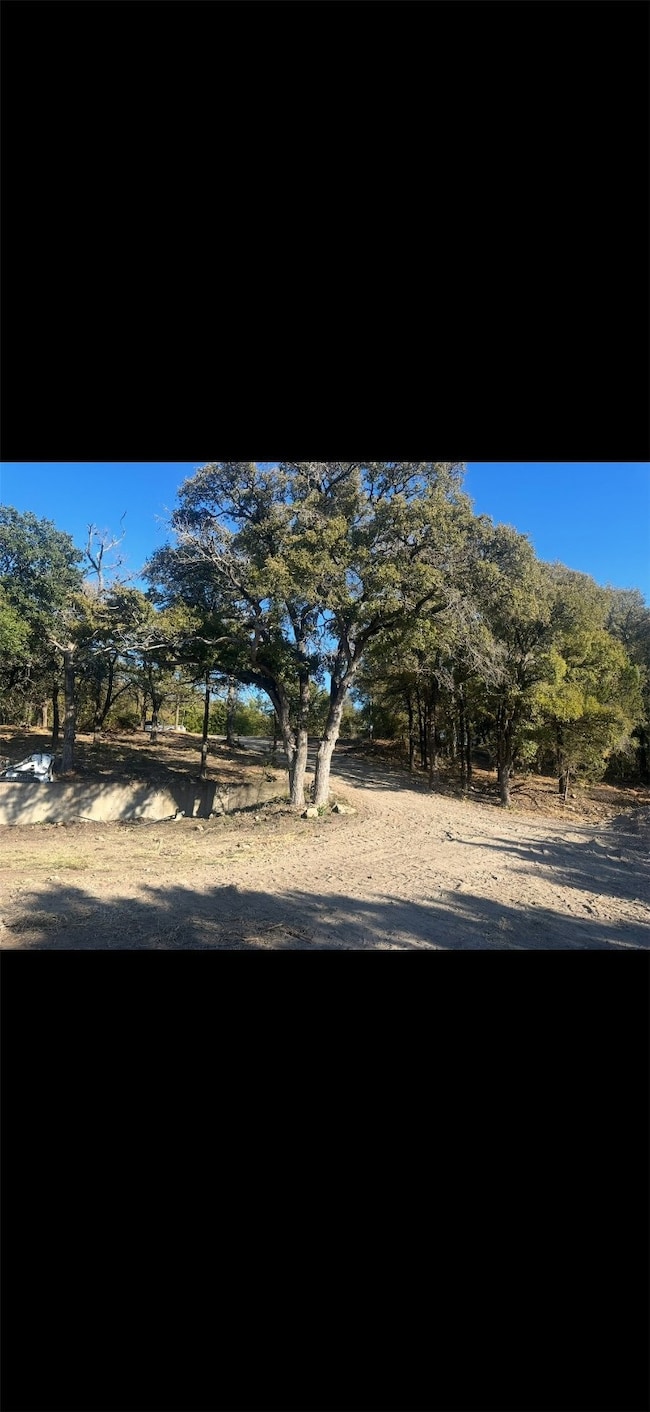 113 Overlook Ct, Cresson, TX 76035 - photo 4