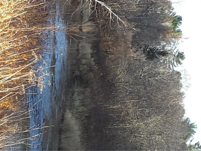 Popular marsh stream that kyackers...