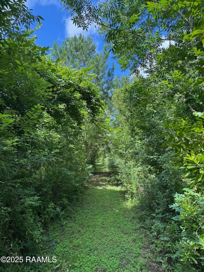 Tbd Frozard Rd unit 5, Arnaudville, LA 70512 - photo 2