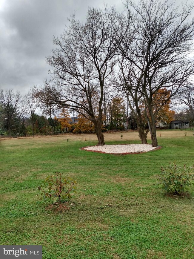 5932 Littlefield Ave, Reading, PA 19606 - photo 2