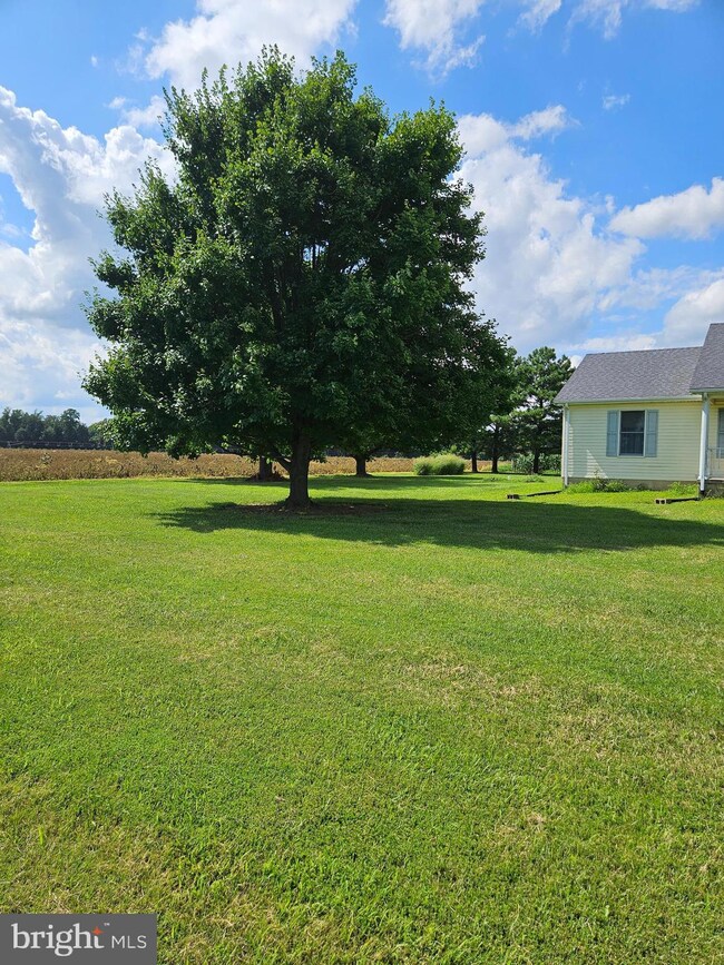 571 Mulberrie Point Rd, Frederica, DE 19946 - photo 6