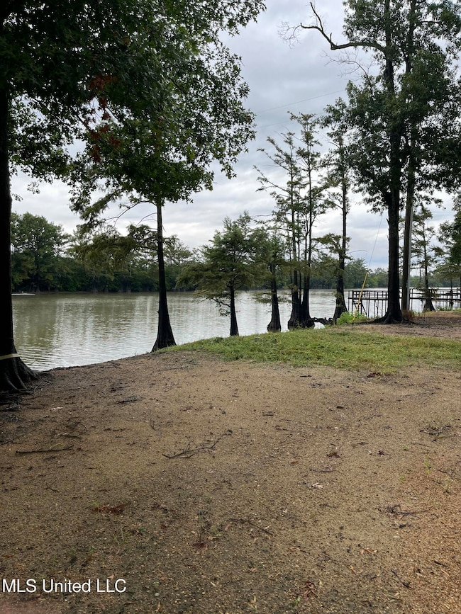 1955 Shoemaker Rd, Yazoo City, MS 39194 - photo 4