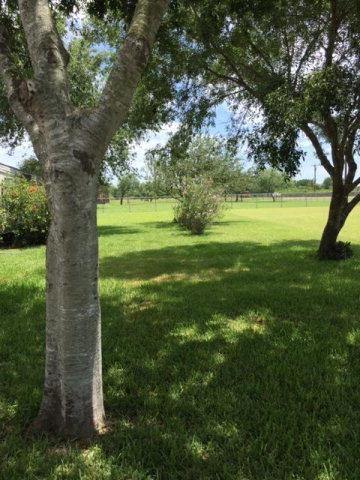 4824 N Mile 3 1 2 W, Weslaco, TX 78599 - photo 6