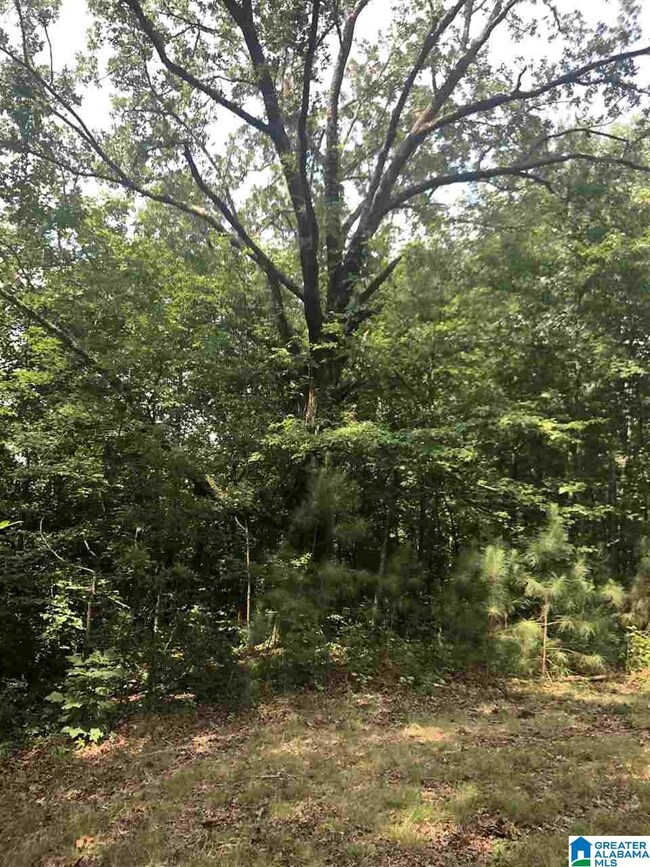 8346 Cedar Mountain Rd unit 5 & 6, Pinson, AL 35126 - photo 2