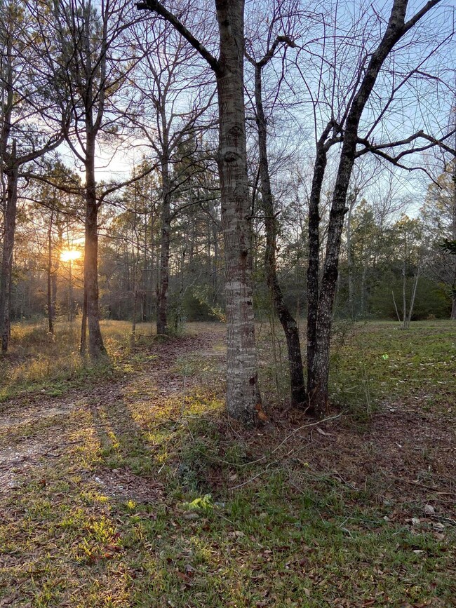 old hwy 49