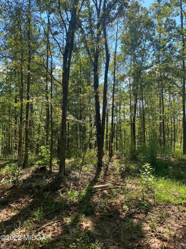 0 Russellville Rd unit M167250, Forsyth, GA 31029 - photo 3