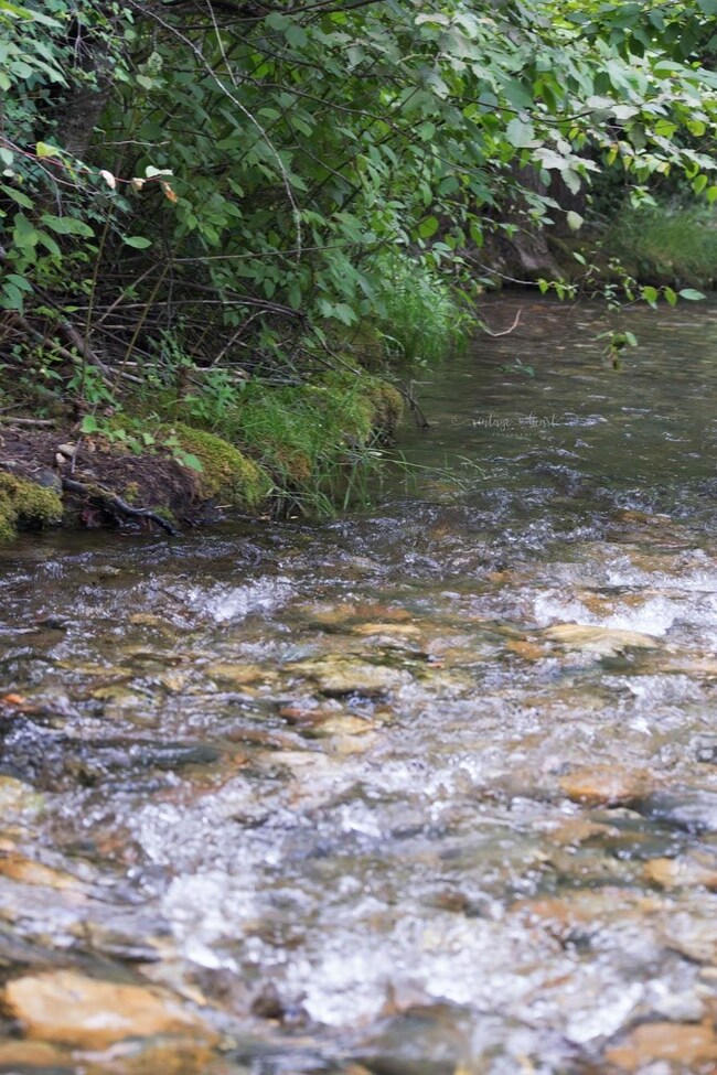 Creek