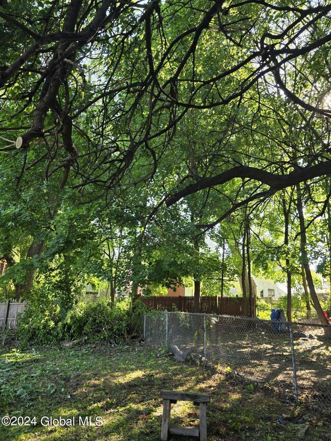 454 Livingston Ave, Albany, NY 12206 - photo 5