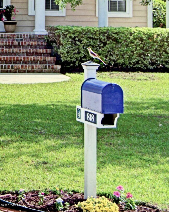4 bird on mailbox